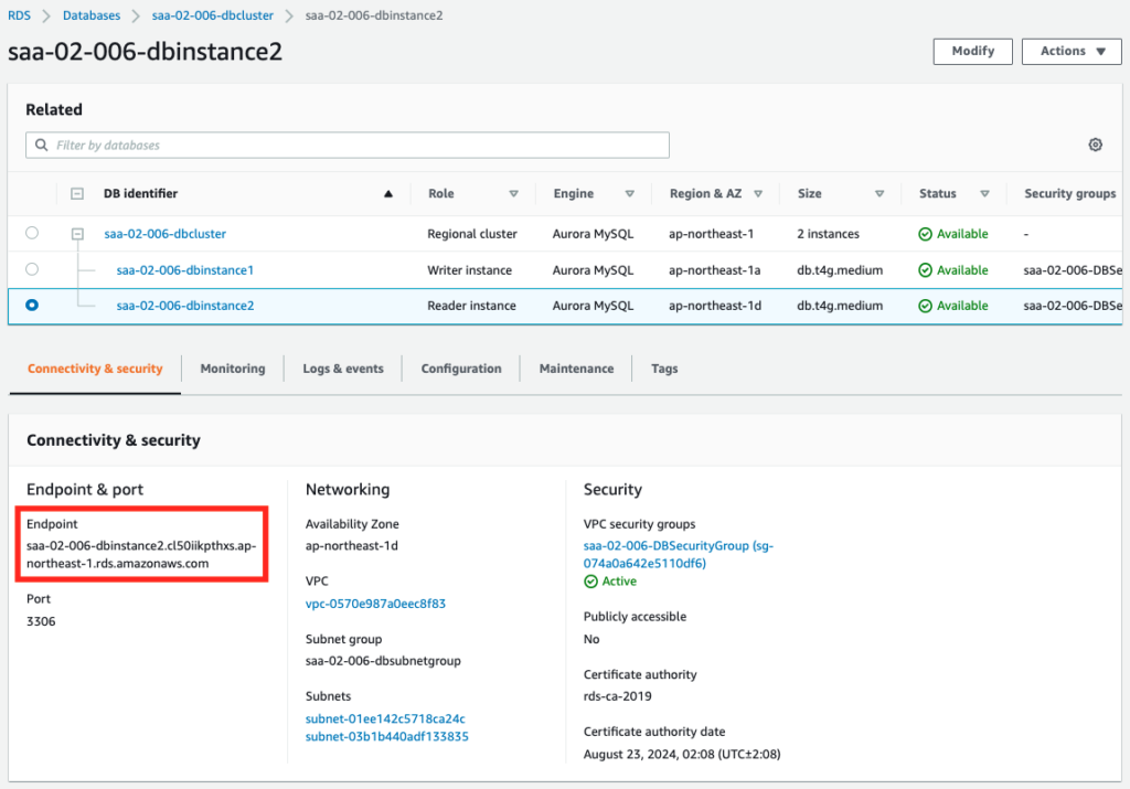 Instance endpoint of DB instance 1