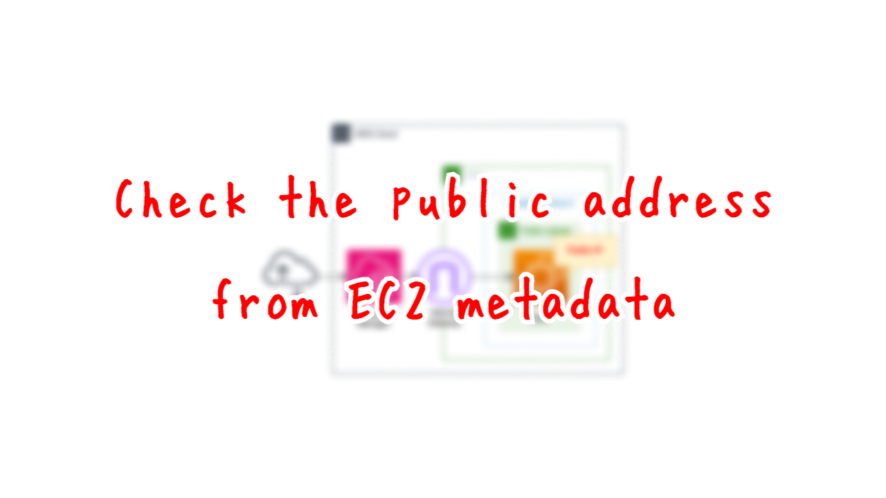 Check the public address from EC2 metadata
